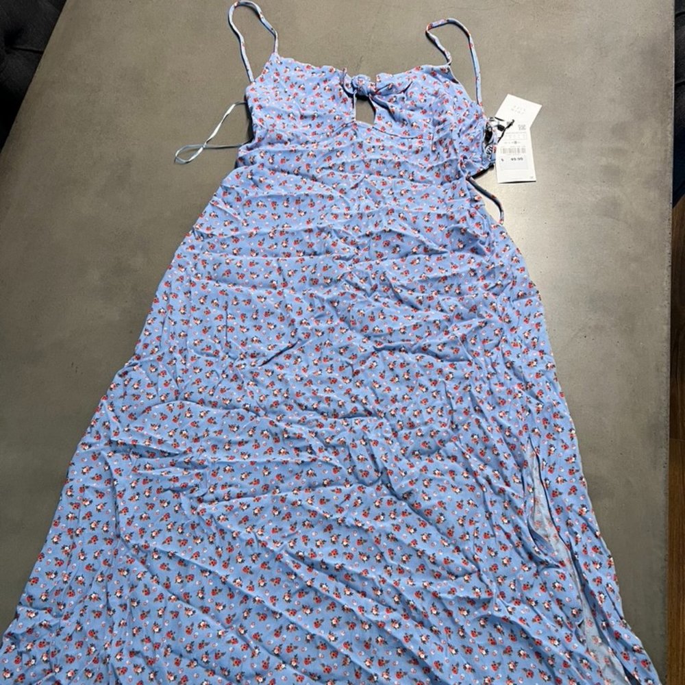 Zara Blue Floral Dress